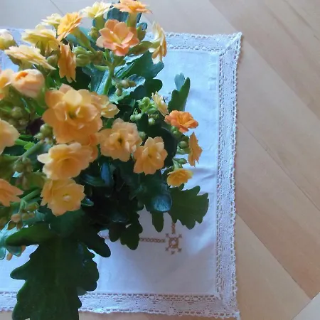 Appartement La Casetta In Piazza *