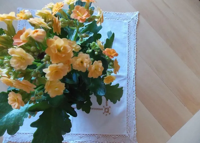 Appartamento La Casetta In Piazza *